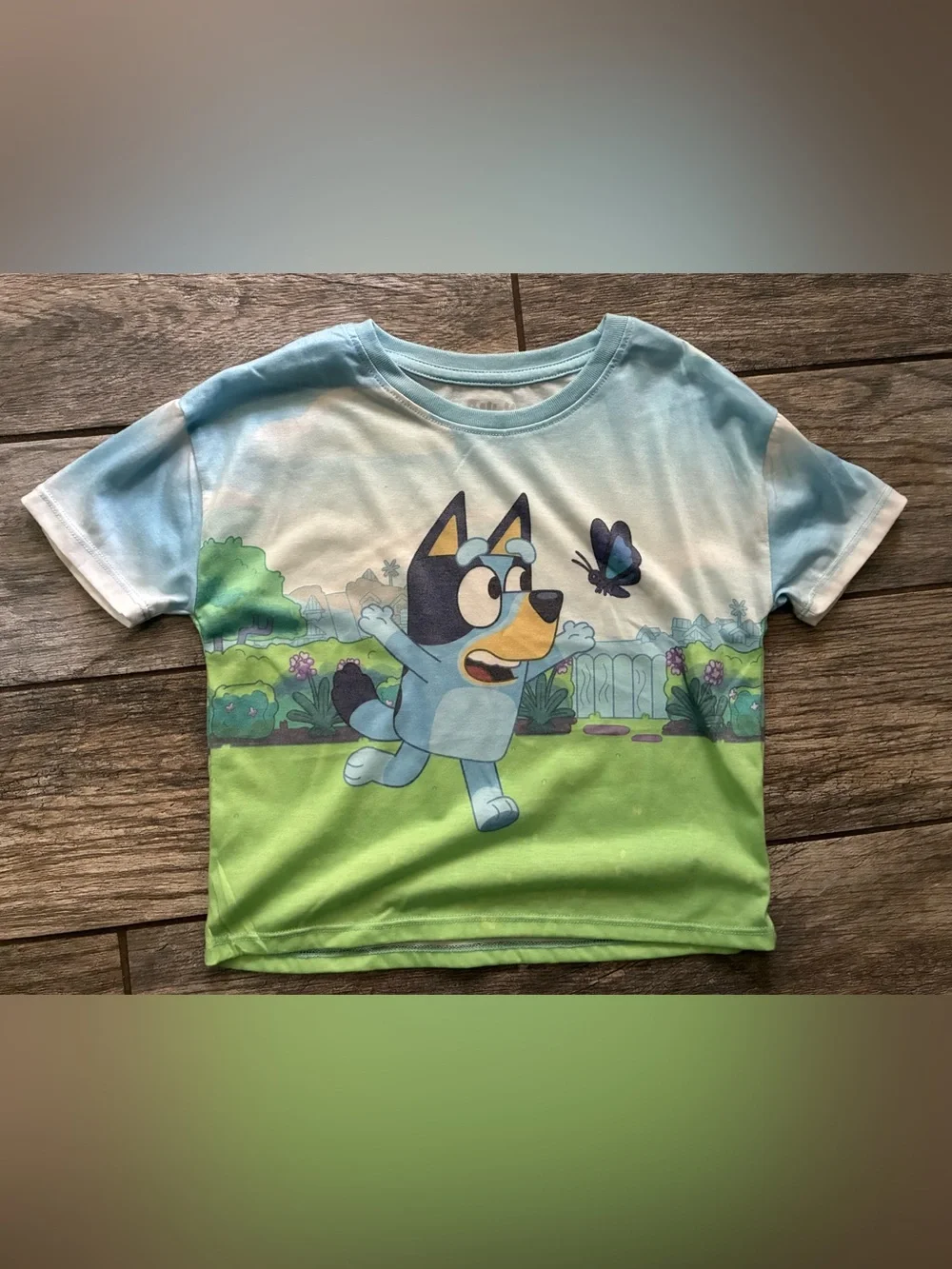 Bluey Girls Clothing Bundle with Earrings Size 6